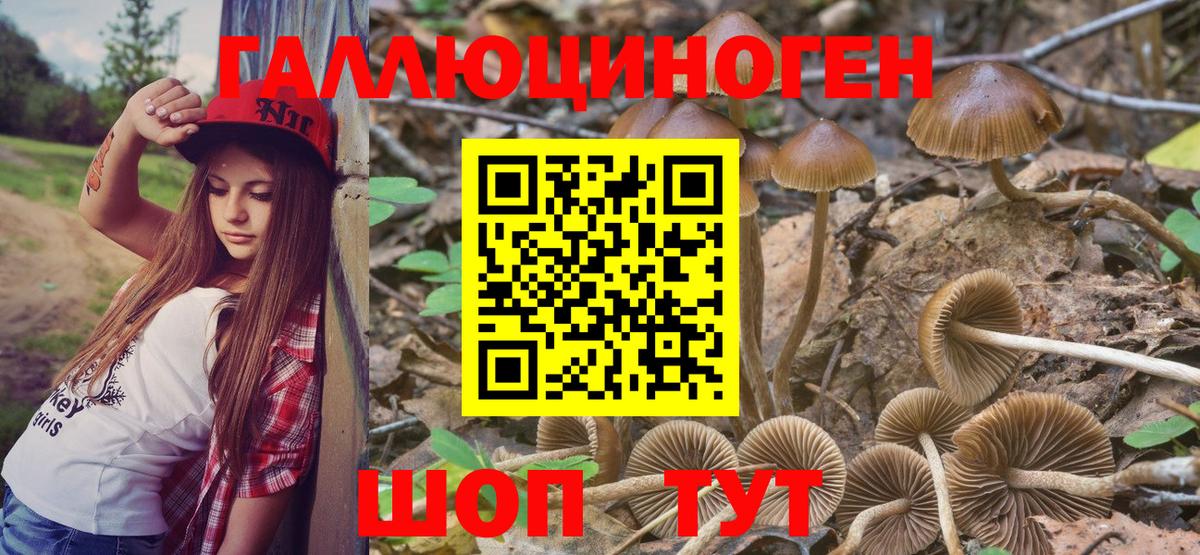 Псилоцибиновые грибы Psilocybe  Вход с VPN  Муравленко 